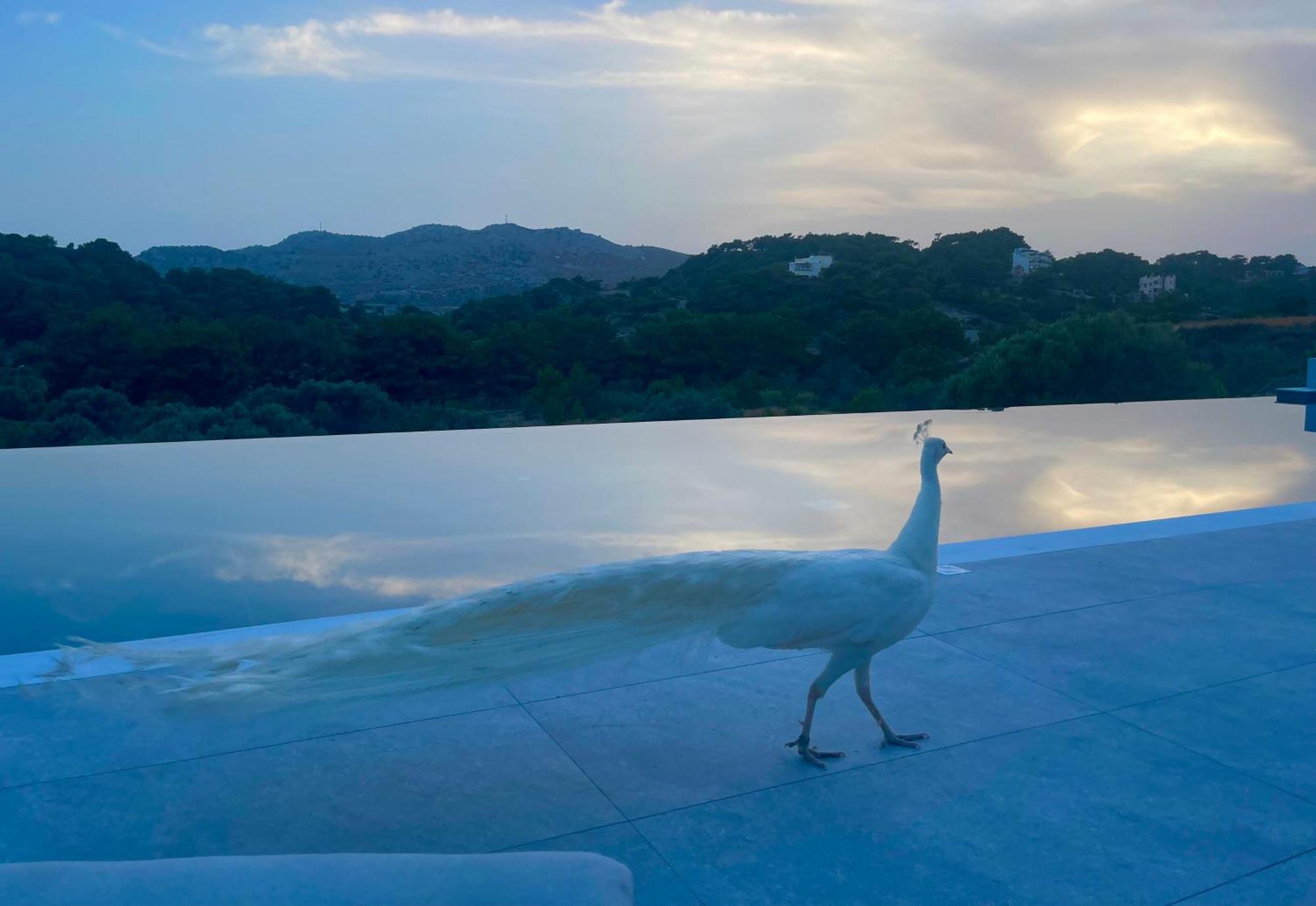 Ano Kampos Hotel ファリラキ エクステリア 写真
